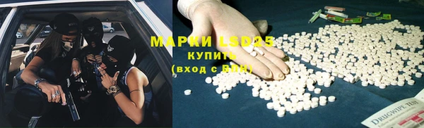 мет Инсар