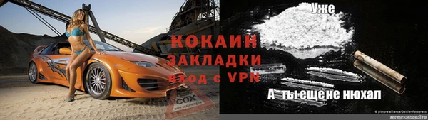 дживик Инта