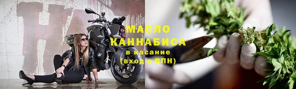 дживик Инта