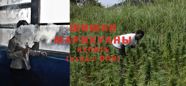 мет Инсар
