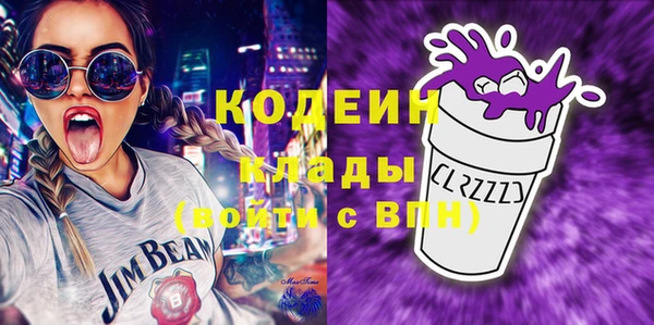 дживик Инта