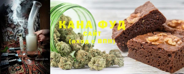 дживик Инта
