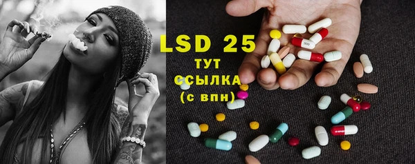 дживик Инта