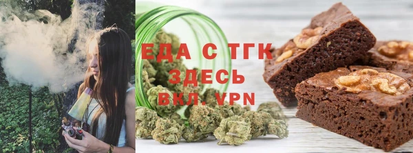 дживик Инта