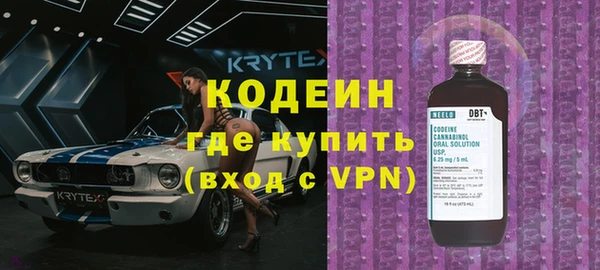 дживик Инта