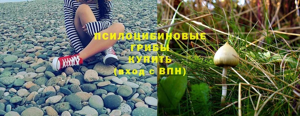 мет Инсар