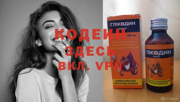 дживик Инта