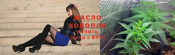 мет Инсар