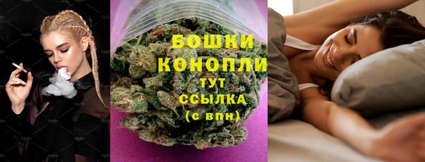 мет Инсар