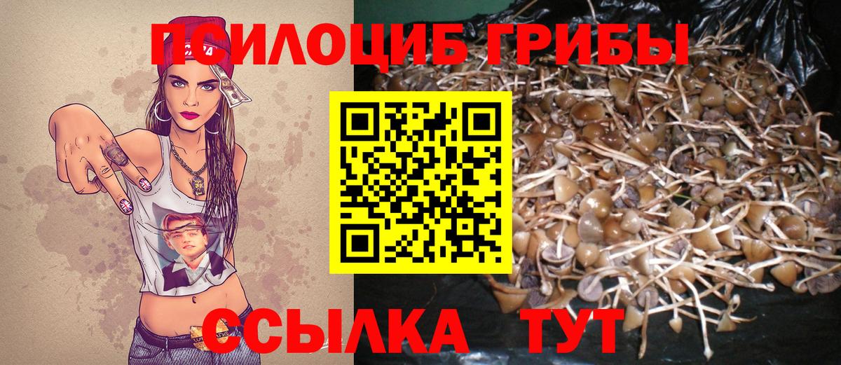 Галлюциногенные грибы прущие грибы  Галлюциногенные грибы MAGIC MUSHROOMS  Вход с VPN  Кашира 